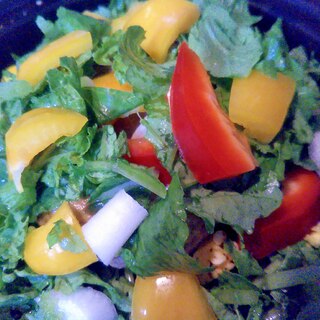 緑赤白黃のカラフルサラダ